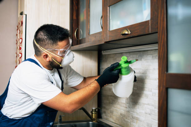Best Pest Inspection Near Me  in Cut Off, LA