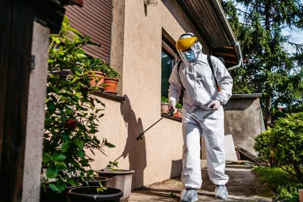 Best Pest Control Near Me  in Cut Off, LA