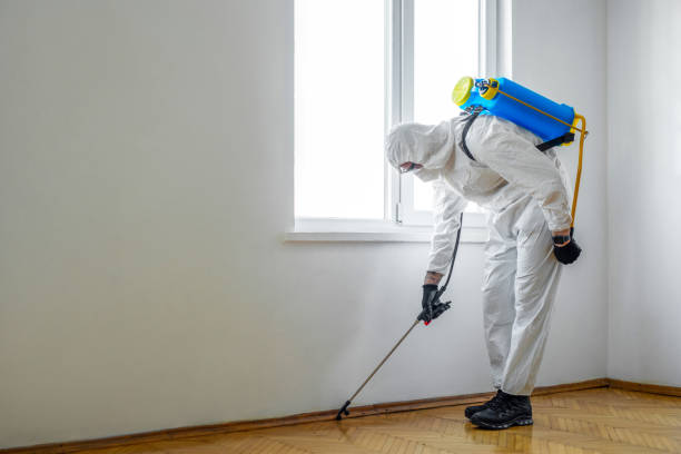 Best Cockroach Control Services  in Cut Off, LA