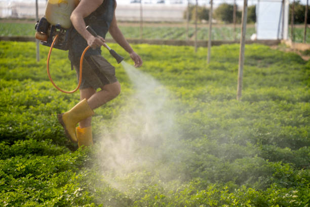 Best Wildlife Control Services  in Cut Off, LA