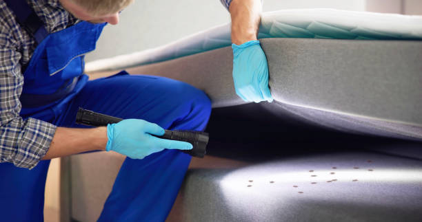 Best Best Pest Control Companies  in Cut Off, LA