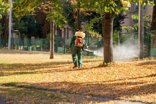 Best Bed Bug Extermination  in Cut Off, LA