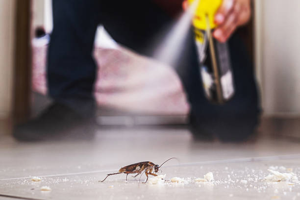 Best Wildlife Control Services  in Cut Off, LA