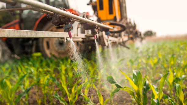 Best Mosquito Control Services  in Cut Off, LA