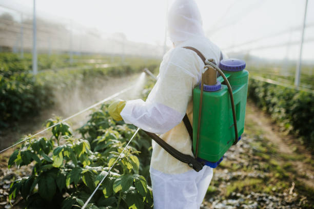 Best Mosquito Control Services  in Cut Off, LA